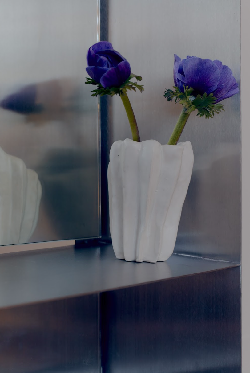 Stainless Steel Wall Mirror